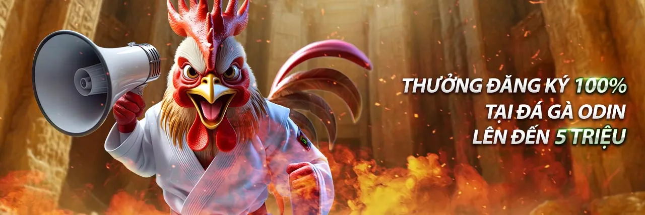 Sân vận động bóng đá sôi động tại zz88 win